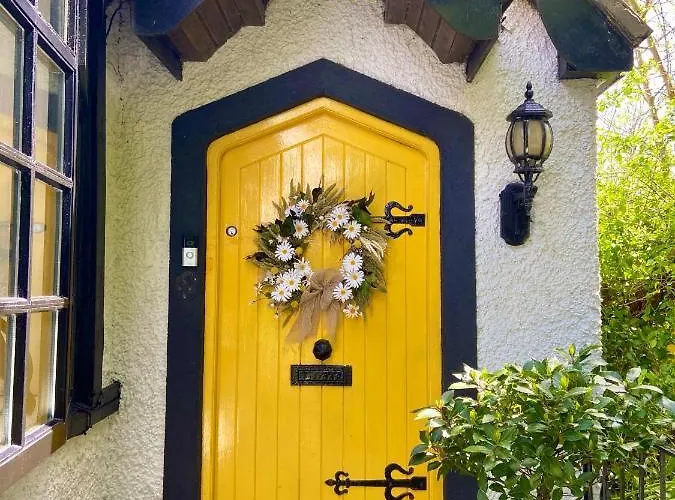 The K Кинсэйл